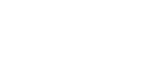 FINI